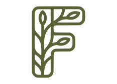 preview.image