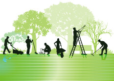 preview.image