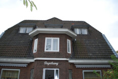 preview.image