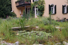 preview.image
