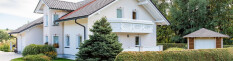 preview.image