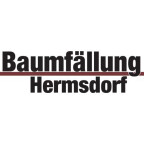 Bernhard Hermsdorf Baumfällungen