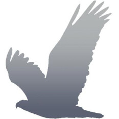 preview.image