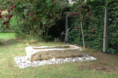 preview.image