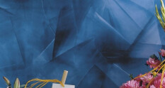 preview.image