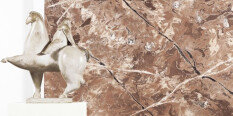 preview.image