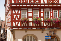 preview.image