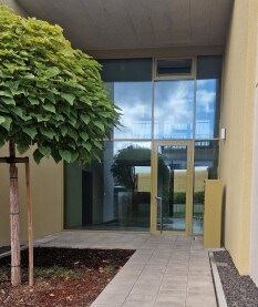 preview.image