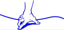 Bild: OPT-Physiotherapie Magdeburg in Magdeburg