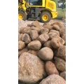 A.f National Frey/ Frey Stones Neum&uuml;nster