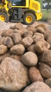 A.f National Frey/ Frey Stones Neum&uuml;nster