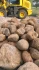 Logo A.f National Frey/ Frey Stones