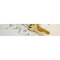 Logo A I Alzenauer Investorengruppe AG