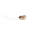 AB Wellness Massage Hachenburg
