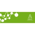 Logo ABLE GROUP ABLE Management Services