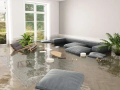 Wasserschadenbeseitigung
