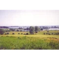 Logo Amt Gerswalde
