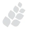 Logo Accessio Kapital GmbH
