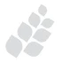 Logo Accessio Kapital GmbH