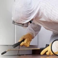 ACE Zydek Sch&auml;dlingsbek&auml;mpfung GmbH Nachrodt-Wiblingwerde