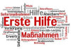 Logo Achim Eich Fahrschule