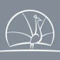 Logo ACN Strohm & Neumann GmbH Werbeagentur