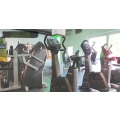 ACTIVITY FITNESS Lampertheim