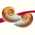 Logo Kramer, Adelheid