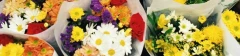 Logo Agnes Luttenberger Blumen