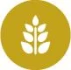 Logo Agrarprodukte Kitzen e.G. Landhandel