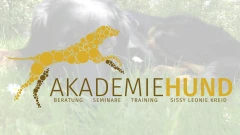 Logo Akademie Hund