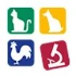 Logo Alain Foulmann Tierarztpraxis