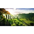 Logo Allianz B&ouml;ttcher