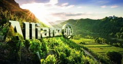 Logo Allianz B&ouml;ttcher