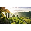 Allianz Versicherung Potsdam Mario Wilk