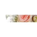 Logo Allium Blumen