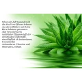 Logo Aloe Test Franco Rinke
