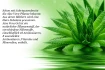 Logo Aloe Test Franco Rinke