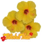 Logo Aloha Hair