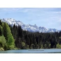 Logo Ferienhotel Barmsee