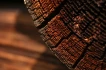 Logo alpenterieur Bernhard L. Rieger