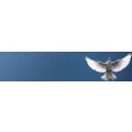 Logo Alten- und Krankenpflegedienst Jona