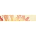 Logo Alternatives Heilen Anna Gruber
