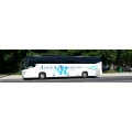 Alwin's Reisedienst Busreisen mit Flair Friesoythe