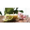AMARA Cosmetics Winsen, Aller