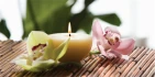 Logo AMARA Cosmetics