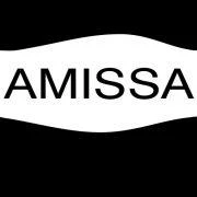 Logo Amissa Unternehmensberatung Inh. Regine Jäckel