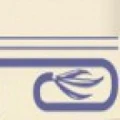 Logo Ammann