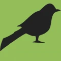 Logo Ammersee Gartenbau