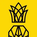 Logo des ananas gym